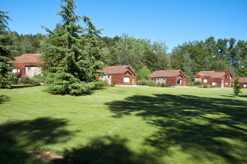 Cabanas Patagonia Lefun Pucón Buitenkant foto